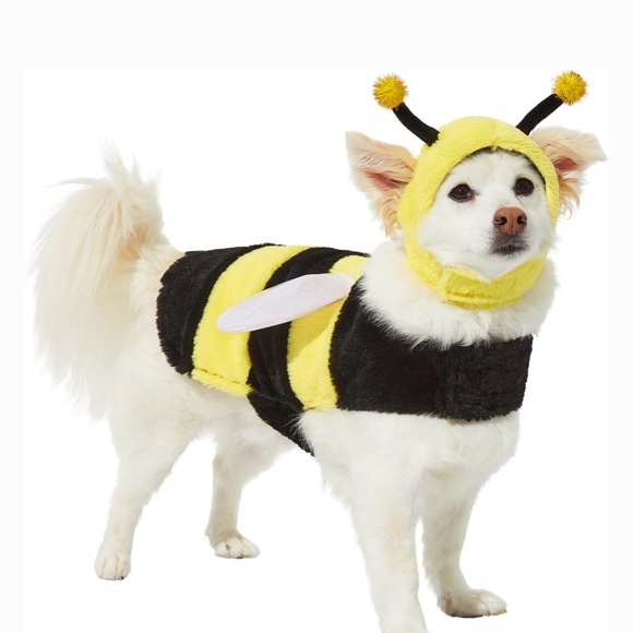EUC Frisco Bumblebee Bee Costume for Dogs - Yellow & Black XL Medium-Large dogs - Picture 1 of 5
